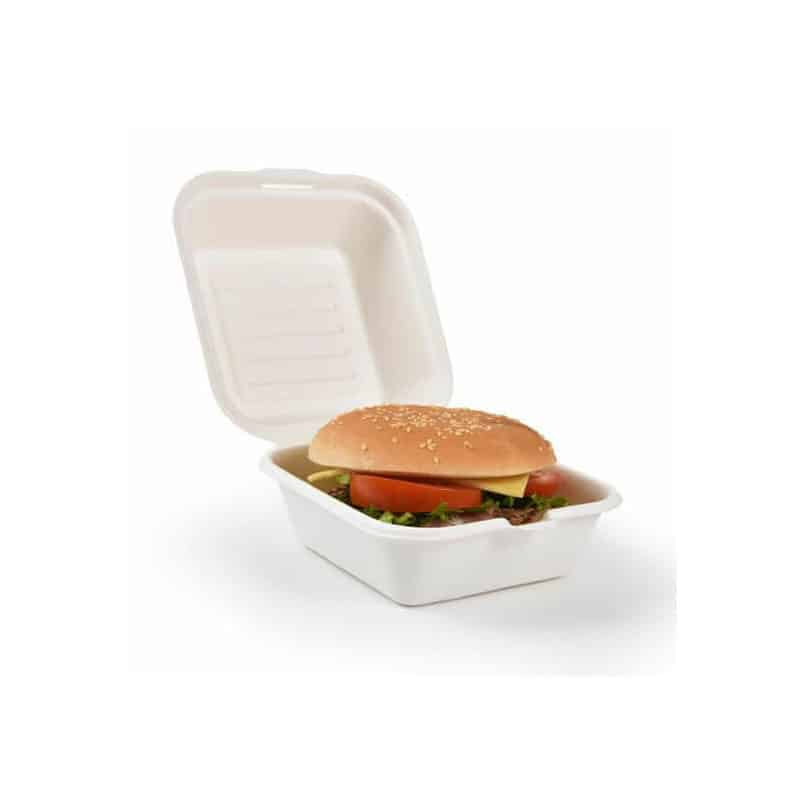 Bio Burger Box